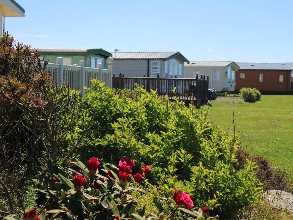Searivers 98Lemmington By The Beach Ynyslas, Borth Exterior foto